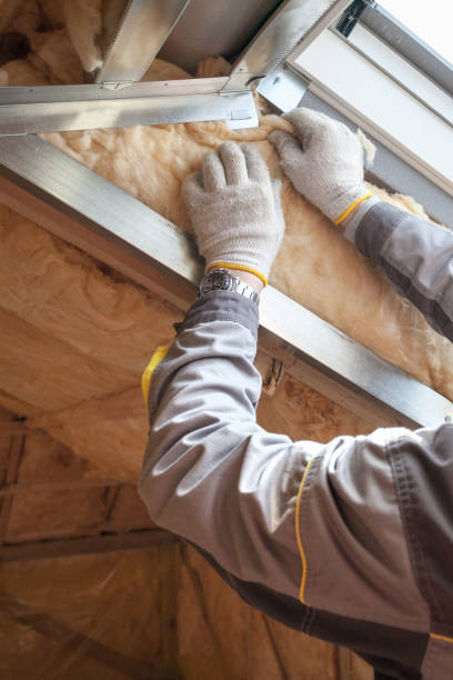 Best Eco-Friendly or Green Insulation Solutions  in Washington, NC